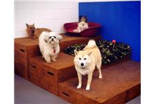 Happy Pawes Dog Day Care & Training Centre image 5