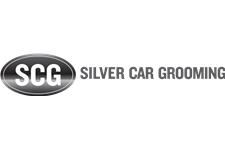 Silver Car Grooming - Car Grooming Auckland image 1