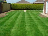 Commercial Lawns Care Services image 7