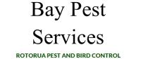 Bay pest Services image 1