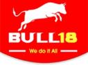 Bull18 Franchise Business Auckland logo
