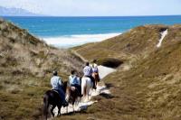 Pakiri Beach Horse Rides  image 3