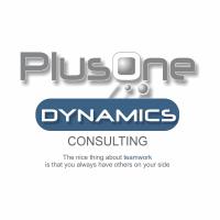 PlusOne Dynamics Ltd image 4