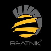 Beatnik Motorsport LTD image 2