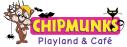 indoor playground albany  logo