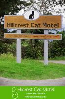 Hillcrest Cat Motel - Wellington Cattery image 2