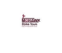 Mohawk Electric Mountain Bike Tours  image 1