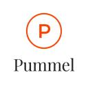 Pummel Fit logo