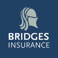 Bridges Insurance Services Ltd image 1