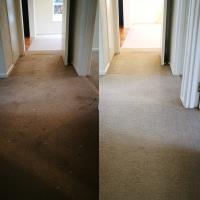 KLEVER Carpet Cleaning image 8