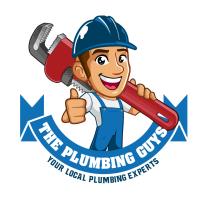 The Plumbing Guys image 1