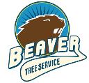 Beaver Tree Services logo