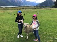 New Zealand Private Tours image 5