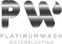 Platinum Wash logo