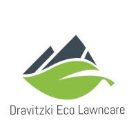 Dravitzki Eco Lawncare image 1