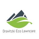 Dravitzki Eco Lawncare logo