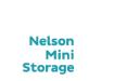Nelson Mini Storage logo
