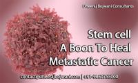 Stem Cell Treatment in India image 2