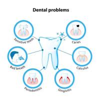 The Wellington Dental Practice image 2
