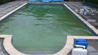 Water Dragon Pool Services image 1