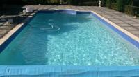 Water Dragon Pool Services image 2