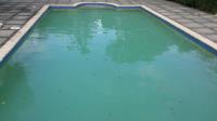 Water Dragon Pool Services image 3