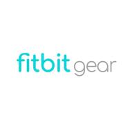 Fitbit Gear image 1