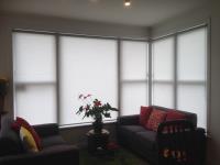 Rollerflex ASB  Awnings Screens Roller Blinds image 10