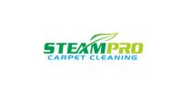 SteamPro Carpet Cleaning Christchurch image 2