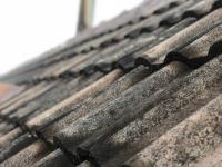 Fern Roofing Solutions image 3