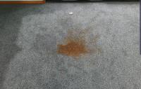 Carpet Care Solutions Carpet Cleaning image 7