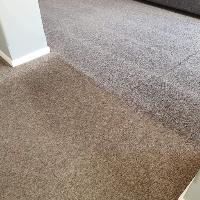 Carpet Care Solutions Carpet Cleaning image 15