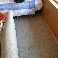 Carpet Care Solutions Carpet Cleaning image 14