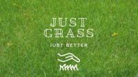 Just Grass image 1
