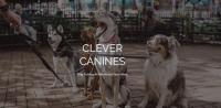 Clever Canines image 1