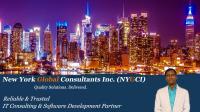NEW YORK GLOBAL CONSULTANTS LIMITED image 2
