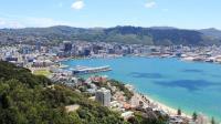 Capital City Movers Wellington image 1