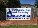 Professional Gas And Plumbing logo