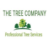 The Tree Company | Arborist Auckland image 3