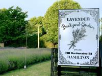 Lavender Backyard Garden image 1