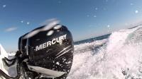 Mercury Bay Marine image 3