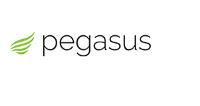 Pegasus Systems image 1