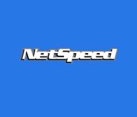 Netspeed Data Ltd image 1