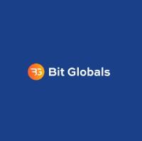 Bit Globals Financial Services Ltd image 1