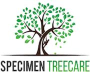Specimen Treecare image 1