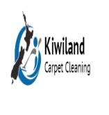 Kiwiland Carpet Cleaning image 1