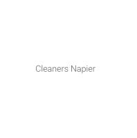 CleanersNapier.co.nz image 2