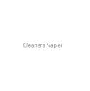 CleanersNapier.co.nz logo