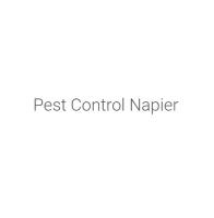 PestControlNapier.co.nz image 2