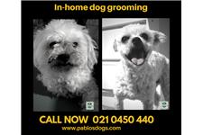Pablo's Dogs - Dog Grooming image 1